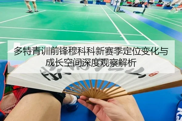 多特青训前锋穆科科新赛季定位变化与成长空间深度观察解析